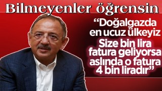 Özhaseki: Doğalgazın yüzde 75’ini devlet karşılıyor