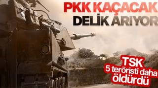 Pençe Kaplan bölgesinde 5 terörist öldürüldü