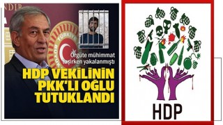 PKK'ya silah taşırken yakalanmıştı: HDP vekilinin oğluna hapis cezası