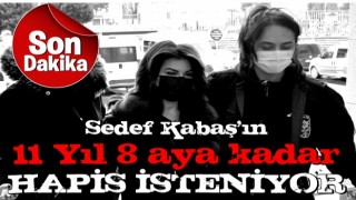 Sedef Kabaş hakkında "Cumhurbaşkanına hakaret" suçundan 7 yıla kadar hapis isteniyor