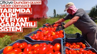 Çiftçilere müjde: Alım ve fiyat garantili sistem yolda