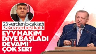 Cumhurbaşkanı Erdoğan, kadın muhtarlarla buluştu