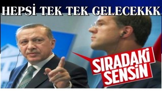 Hollanda Başbakanı Mark Rutte, Cumhurbaşkanı Erdoğan'ı ziyaret edecek