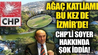 İstanbul'dan sonra İzmir'de ağaç katliamı! CHP'li belediye Kültürpark'ın sembollerini kesti!