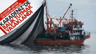 Karadeniz sularında balık tutmak yasaklandı