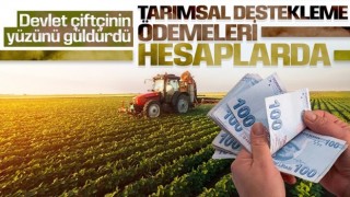 Tarımsal destekleme ödemeleri çiftçinin hesabına yatıyor