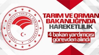 Bakanlıklara atamalar Resmi Gazete’de