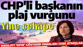 CHP'li İlkay Girgin Erdoğan'ın plaj vurgunu! Hasılatı ‘sıfır’ gösterip milyonları cebe indirmişler