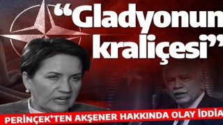 Perinçek'tan olay ifşa! Meral Akşener Fetullahçı teröristlere militan kazandırmış