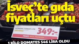 Stockholm'de birinci sınıf domatesin kilosu 349 krona (546 liraya) yükseldi