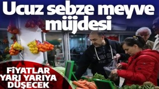 Vatandaşa ucuz sebze meyve müjdesi! Fahiş fiyatlar yarı yarıya düşecek işte o tarih