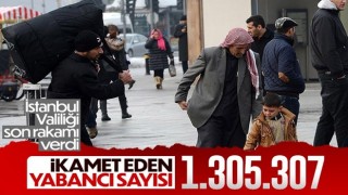 İstanbul'da ikamet eden yabancı sayısı açıklandı