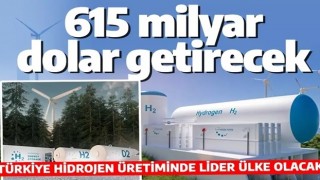 Türkiye'ye 615 milyar dolar katkı sunacak! İşte o enerji kaynağı