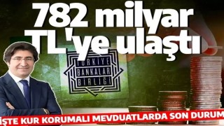 Yetkili isim canlı yayında açıkladı! Toplam büyüklük 782 milyar TL'ye ulaştı!