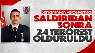 Zeytindalı bölgesinde 24 terörist öldürüldü