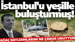 Ağaç katliamını çabuk unuttu! İmamoğlu İstanbul'u yeşille buluşturmuş