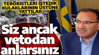 Bakan Bozdağ: İsveç ve Finlandiya'dan teröristlerin iadesini talep ettik