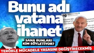 Sınır ötesi operasyonları Kılıçdaroğlu'nu rahatsız etti! AB toplantısında AB elçisini aratmadı