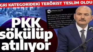 Son dakika: Soylu duyurdu! Gri kategorideki terörist ikna yoluyla teslim oldu