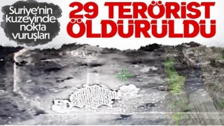 Türk askerinden PKK'ya ağır darbe: 29 terörist öldürüldü