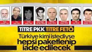 Türkiye'nin İsveç ve Finlandiya'dan istediği teröristlerin tam listesi