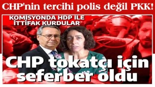 CHP'nin tercihi polis değil PKK! Tokatçı Saliha Aydeniz'i böyle savundular