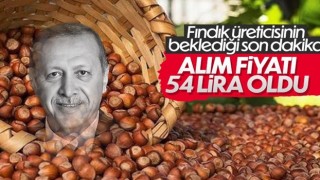 Cumhurbaşkanı Erdoğan fındık alım fiyatını açıkladı