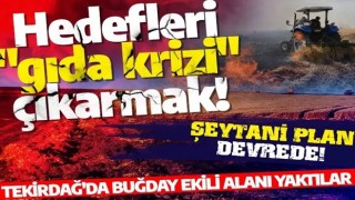 Hedefleri "gıda krizi" çıkarmak! Tekirdağ'da buğday ekili alanı yaktılar