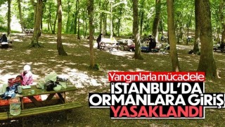 İstanbul'da ormanlara giriş yasaklandı