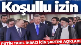 Putin'den Ukrayna'dan tahıl ihracına şartlı izin