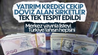 Yatırım kredisi kullanıp döviz alan şirketler tespit edildi