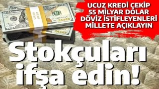 Türkiye'nin iliğini sömürenleri açıklayın: Merkez Bankası Başkanı 'ucuz kredi kullanıp 55 milyar dolar istiflediler' demişti