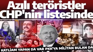 Azılı teröristler CHP'nin kurtarma listesinde! İşte skandal listenin şoke eden detayları