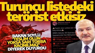 Bakan Soylu duyurdu! 1'i turuncu listede 3 terörist etkisiz