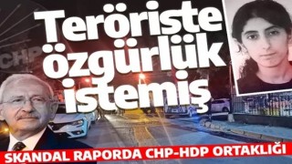 CHP, Mersin'i kana bulayan terörist için özgürlük istemiş