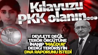 Kılavuzu PKK olanın... Devlete değil terör örgütüne inanıp 'mağdur' dediği teröristin DNA raporunu istedi