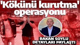 2 ilde uyuşturucu operasyonu! Bakan Soylu detayları paylaştı