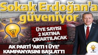 AK Parti'den Artı-1 üye kampanyası! Partili sayısı en az 2 katına çıkartılacak