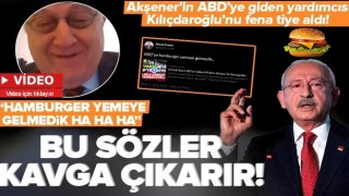 Akşener'in ABD'ye giden yardımcısı Kılıçdaroğlu'nu tiye aldı: ''Hamburger yemeye gelmedik .''