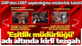 CHP'den LGBT sapkınlığına müdürlük talebi: 'Eşitlik müdürlüğü' adı altında kirli tezgah