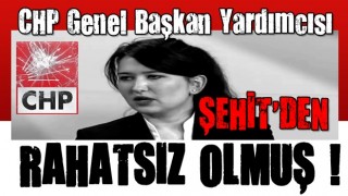 CHP'nin şehit madenciler için taziyesi Kılıçdaroğlu'nun yardımcısını rahatsız etti