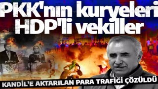 Gizli tanık tek tek ifşa etti! HDP'li vekiller Kandil'in kuryeleri çıktı