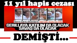 HDP'li Leyla'ya PKK propagandası suçundan 11 yıl hapis cezası