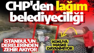 İstanbul'un derelerinden zehir akıyor: İşte CHP'den lağım belediyeciliği