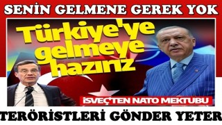 İsveç'ten Cumhurbaşkanı Erdoğan'a NATO mektubu: Türkiye'ye gelmeye hazırız