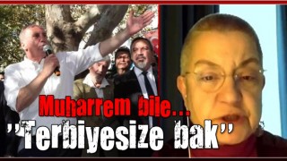 Muharrem İnce'den Fincancı ve CHP'ye tepki: Terbiyesize bak!