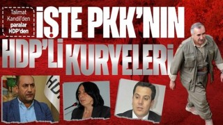 PKK kuryeleri HDP’li vekiller çıktı!