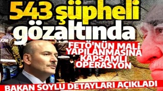 Son dakika: Bakan Soylu açıkladı! FETÖ'nün mali yapılanmasına düzenlenen operasyonda 543 şüpheli gözaltında