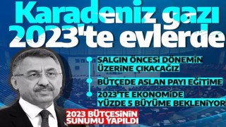 Son dakika: Fuat Oktay duyurdu! Karadeniz gazı 2023 yılında evlerde