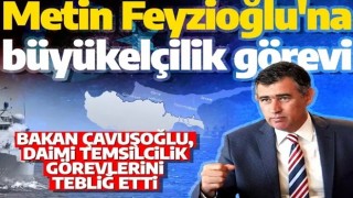 Son dakika: Metin Feyzioğlu büyükelçi olarak atandı